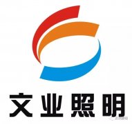 深圳市文業(yè)照明實業(yè)有限公司